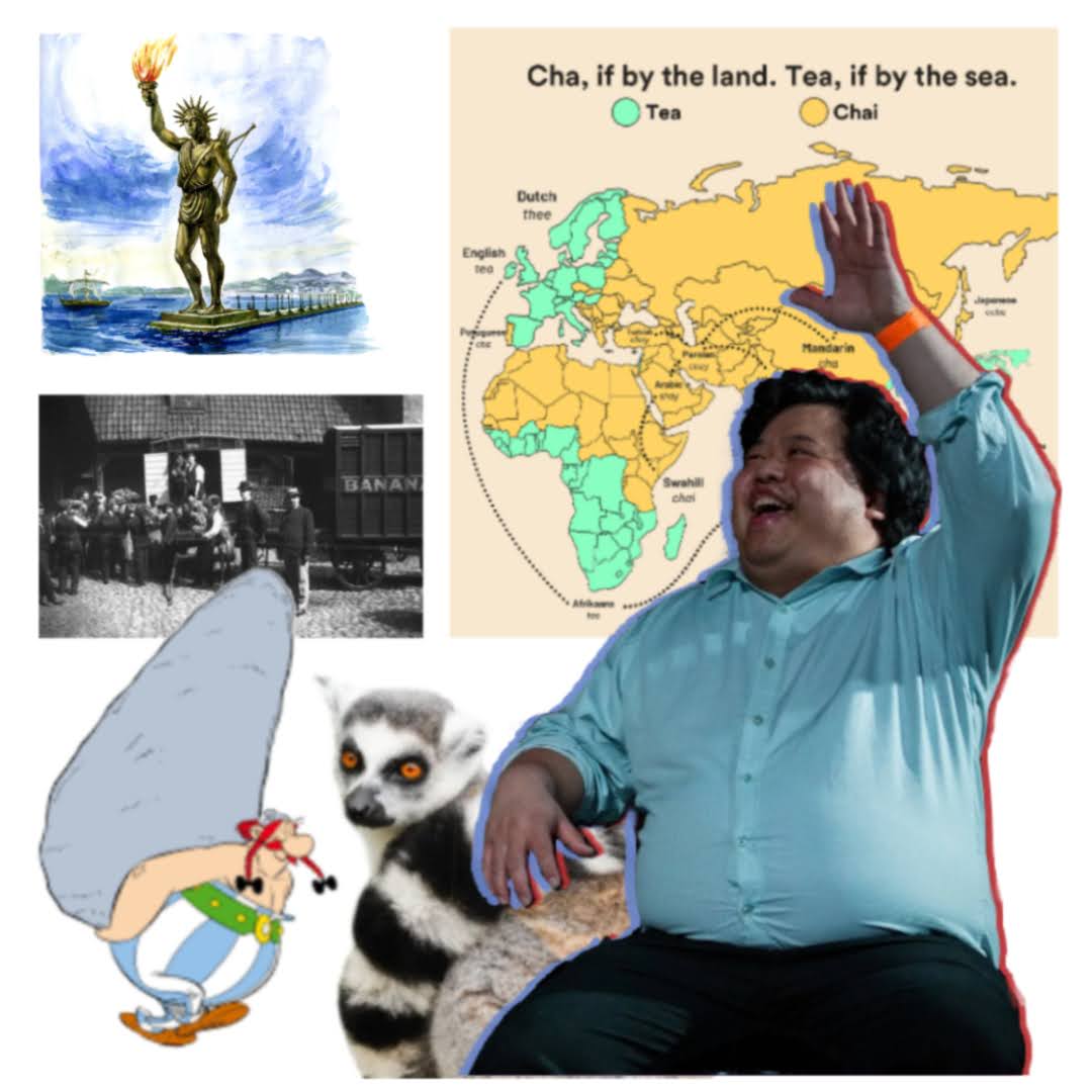 Fun Facts! With Aree