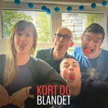 Kort og Blandet